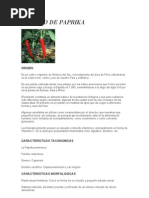 Download Cultivo de Paprika by andres30051990 SN19975853 doc pdf