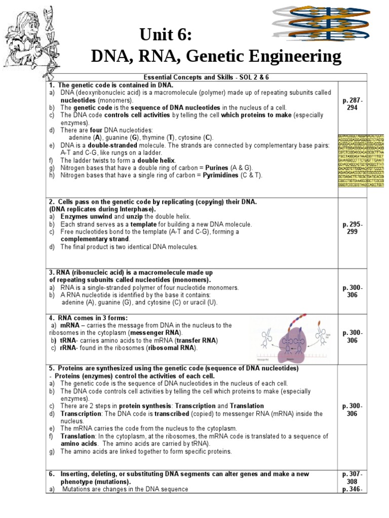 DNA Unit Review Sheet Dna Gene
