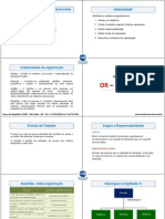 ESTRUTURA_ORGANIZACIONAL_TEORIA