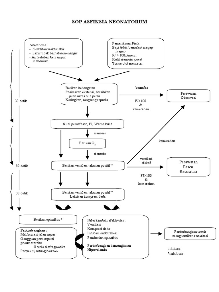 51294510 Sop Asfiksia Neonatorum  New 51294510 Sop Asfiksia Neonatorum  New