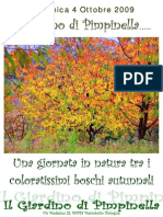 Giardino Di Pimpinella: Una Giornata in Natura Tra I Coloratissimi Boschi Autunnali