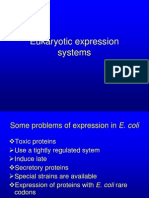 Eukaryotic Expression Systems