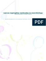 Optical Highlighter Molecules in Neurobiology