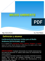 Medio Ambiente