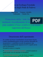 Rimozione della “sink limitation” mediante riscaldamento di una branca di pini cembro (Pinus cembra L.) al limite superiore del bosco.