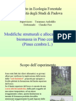 Modifiche strutturali e allocazione della biomassa in Pino cembro(Pinus cembra L.) 