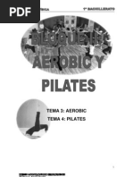 Download Bloque 2 Aerobic y Pilates by acroan82 SN19994498 doc pdf