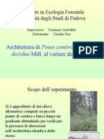 Architettura di Pinus cembra L. e Larix decidua Mill. al variare della quota