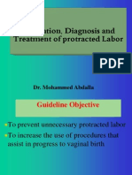 Protracted Labour