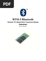 Bluetooth Module Btm5 Datasheet