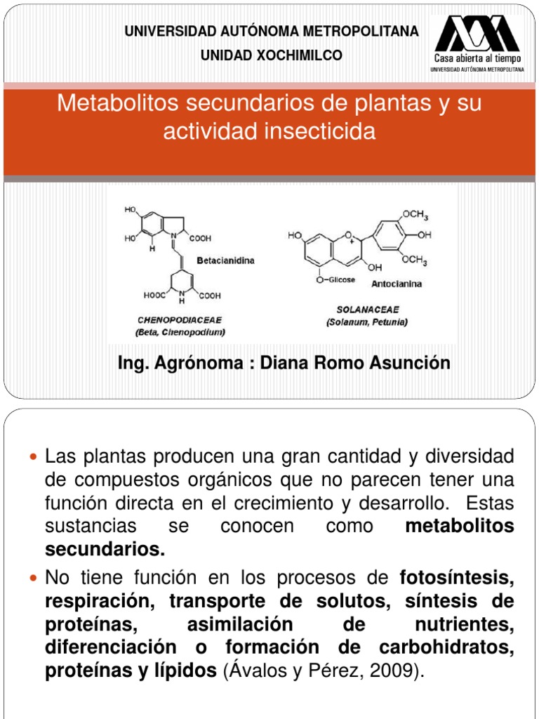 Metabolitos Secundarios y su Efecto Insecticida | PDF | Compuestos ...