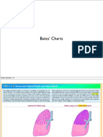 Bates Charts