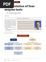 Interpretation of Liver Enzyme Tests - A Rapid Guide