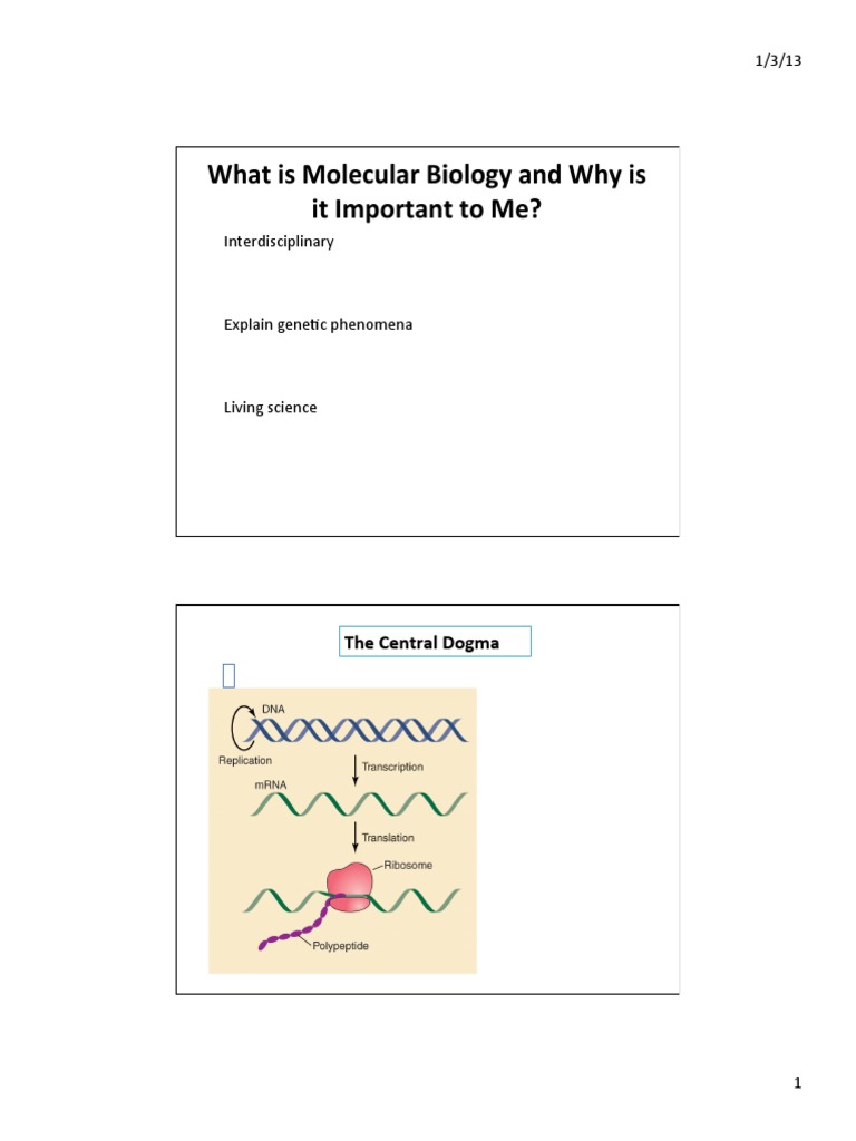 Understanding Molecular Biology Basics | PDF | Wellness | Science ...