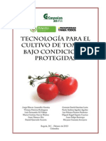 Tecnologia para El Cultivo Del Tomate (CLIENTE) PDF