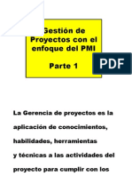 3 Enfoque PMI 1