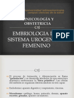 Embriologia Genital