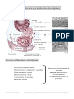 Introducción Al Estudio de Las Membranas Biológicas