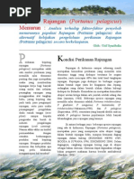 Download Biopol_Rajungan by Urif Syarifudin SN200052242 doc pdf