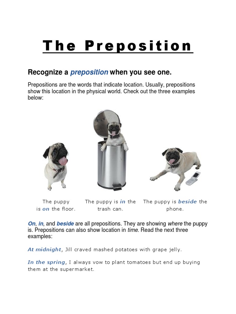 The Preposition | PDF | Preposition And Postposition | Verb