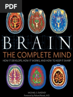Download Human Brain by wen_gals SN200069265 doc pdf