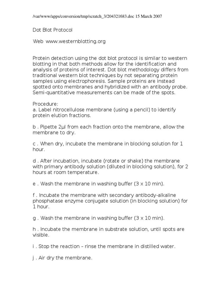Dot Blot Protocol | PDF | Science & Mathematics