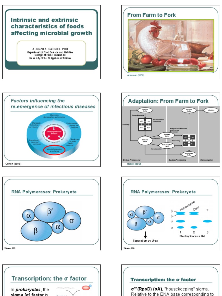 Food Characteristics Impacting Microbial Growth | PDF | Meat | Acid ...