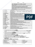 Worksheet Heart Circulation Key