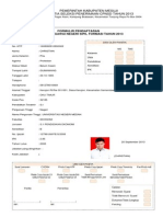 Formulir CPNSD Mesuji 2013