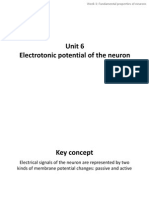 Unit 6 Electrotonic Potential of The Neuron