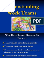 7 - Understanding Work Teams Organisational Behaviour