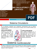 Presentacion Sistema Circulatorio