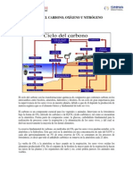 Ciclos carbón oxígeno nitrógeno