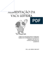 Alimentação da vaca leiteira: nutrientes, cálculos e doenças