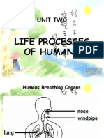 2 Life Processes