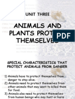 Unit Three: Animals and Plants Protect Themselves