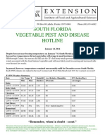 South Florida Vegetable Pest and Disease Hotline January 14, 2014