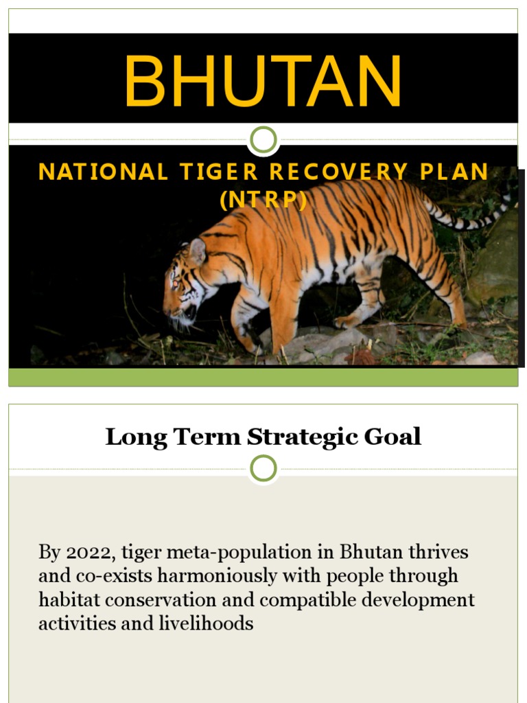 Bhutan National Tiger Recovery Plan | PDF | Conservation Biology ...