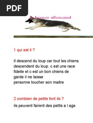 Comment Peut On Dresser Son Chien Avec Un Trousseau De Clé
