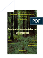 los bosques.docx