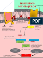 2dos Mensajeros