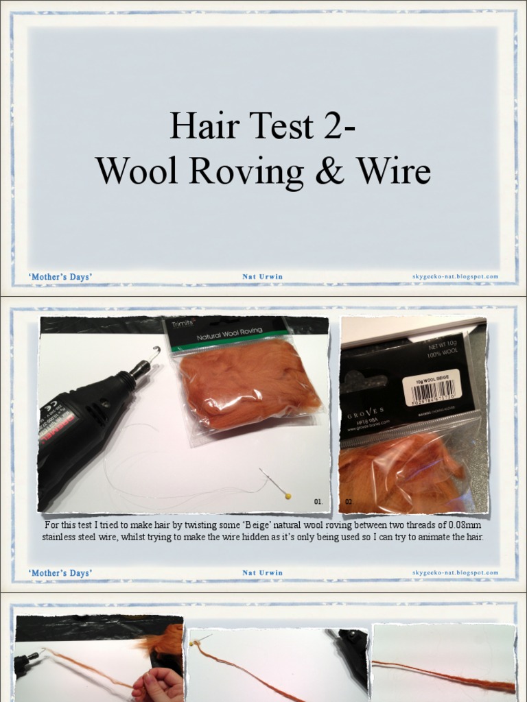 Hair Test Wool PDF Wire Hair