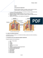 Fisiologia Respiratoria