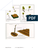 Curso de Bonsai 4