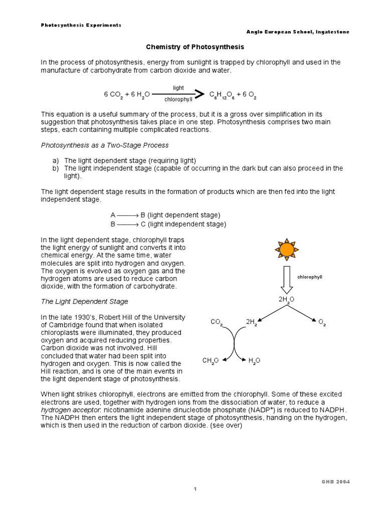 Photosynthesis Experiment Overview | PDF | Photosynthesis | Chlorophyll