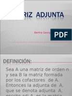 10 MATRIZ  ADJUNTA