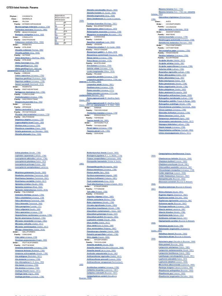 brassière hollister