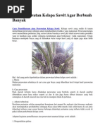 Download Cara Perawatan Kelapa Sawit Agar Berbuah Banyak by Nurse Afifah Ajja SN200312006 doc pdf