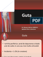 Guta 2012