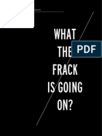REPORT_what_the_frack_is_going_on.pdf